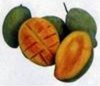 Mangos (fresh fruit)